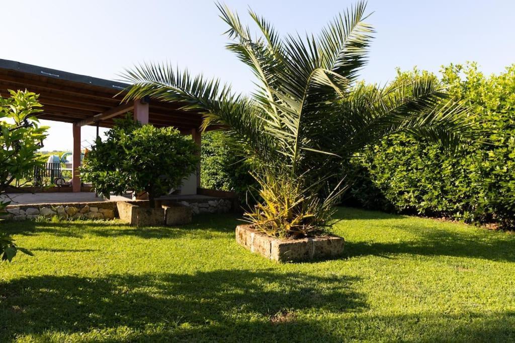Casale Toscano Piscina Wi-Fi 卡潘诺里 外观 照片